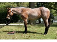 LOT  01 - GETMYGOODSYDE