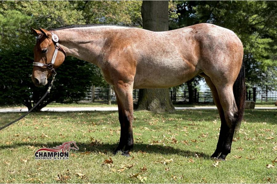 LOT  01 - GETMYGOODSYDE