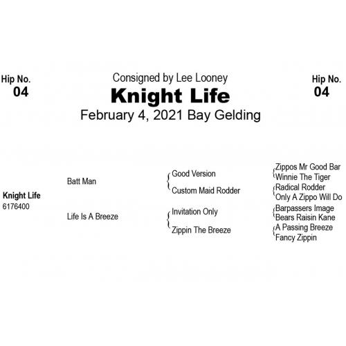 LOT  04 - Knight Life