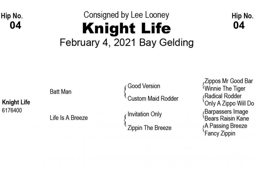 LOT  04 - Knight Life