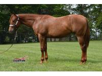 LOT  04 - MOONLITE AND MOJITOS
