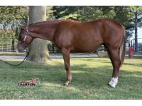 LOT  05 - HAPPY FEELS GOOD