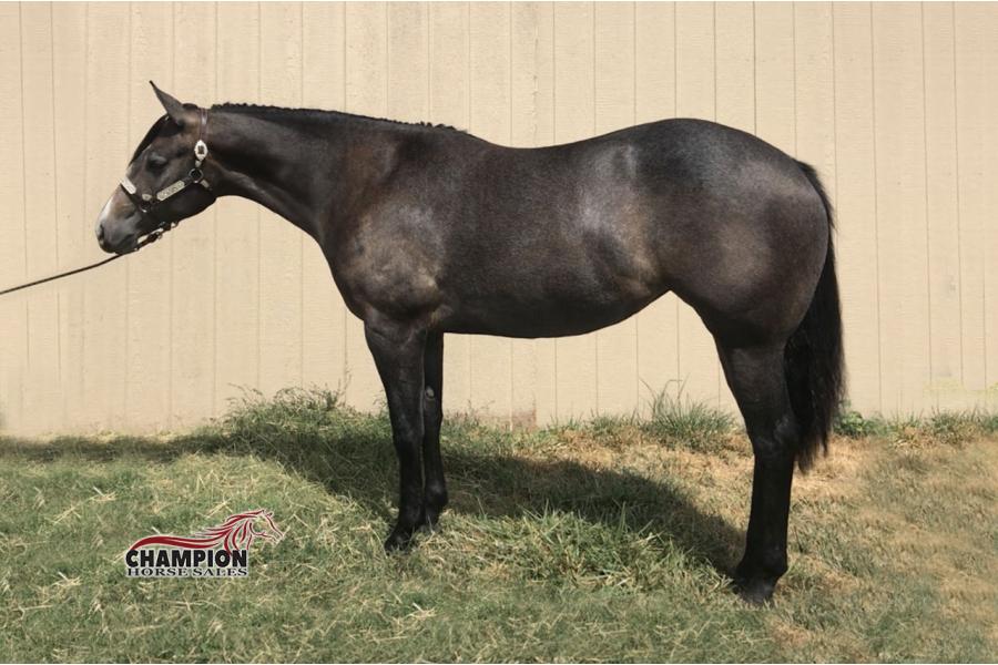 LOT  07 - GMF CALENDAR GIRL