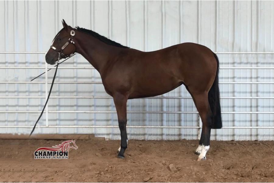 LOT  09 - CLASSIC MACHINE