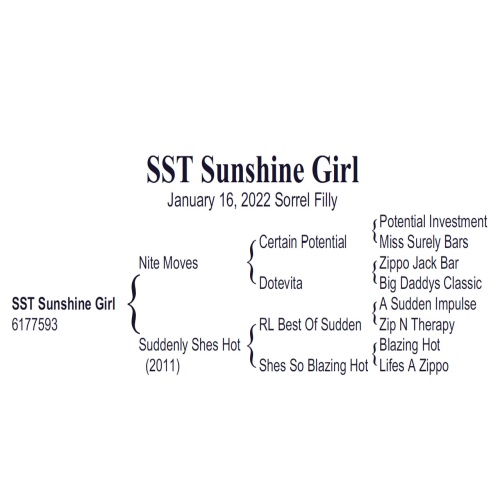 LOT  101 - SST SUNSHINE GIRL