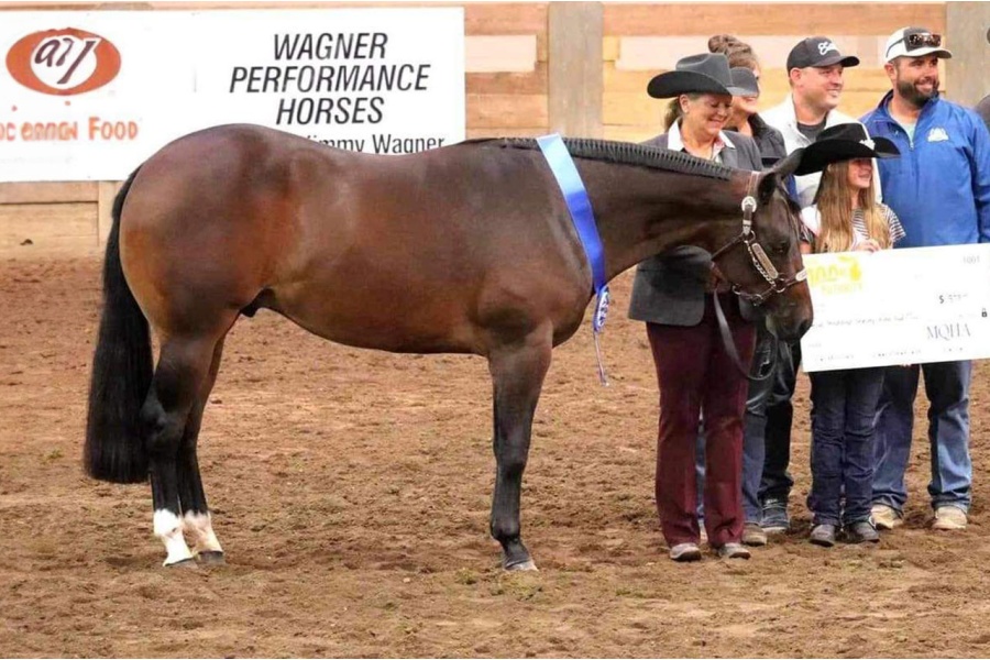 LOT  102 - WILLY FANCY