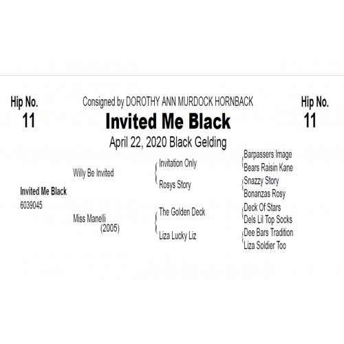 LOT  11 - INVITED ME BLACK