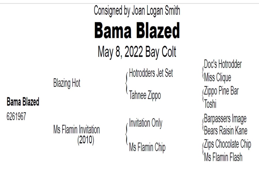 LOT  110 - BAMA BLAZED