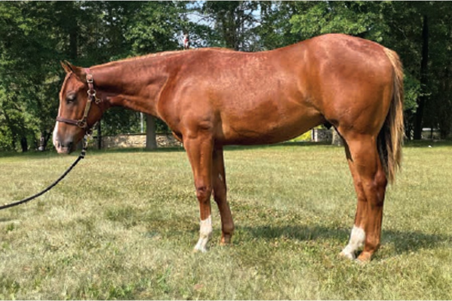LOT  111 - KEEPIN SCORE