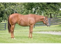 LOT  112 - IMA DIAMOND MARTINI