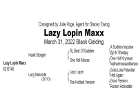 LOT  116 - LAZY LOPIN MAXX