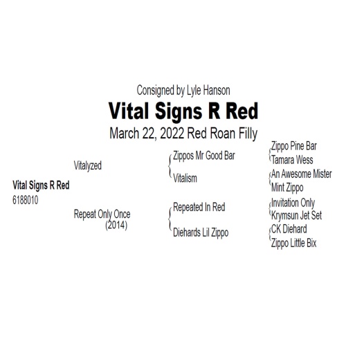 LOT  117 - VITAL SIGNS R RED