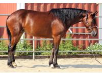 LOT 02 - EVANGELINE