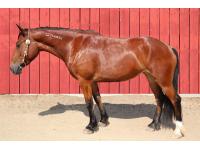 LOT 13 - SNOOZE
