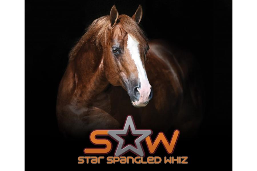 STAR SPANGLED WHIZ