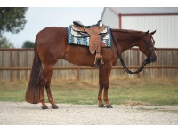 LOT  207 - BEA AT BATT