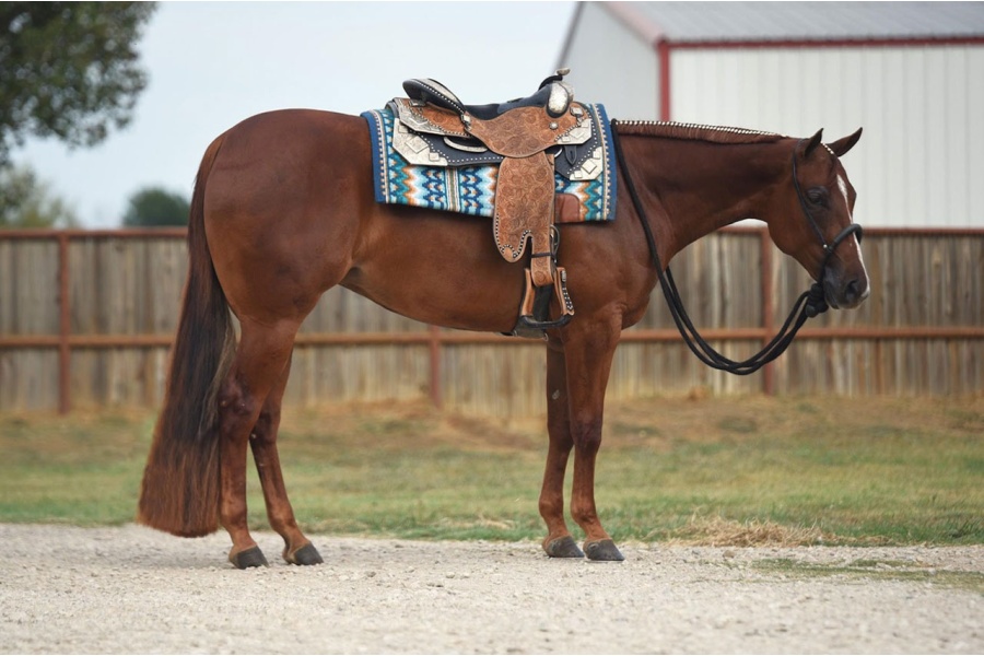 LOT  207 - BEA AT BATT
