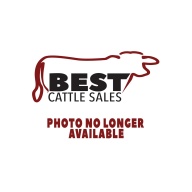 This is a Live test sale on CHS