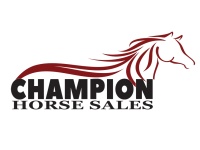 LOT 06 - PRACTICE LOT