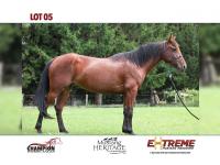 LOT  05 - ELPHABA