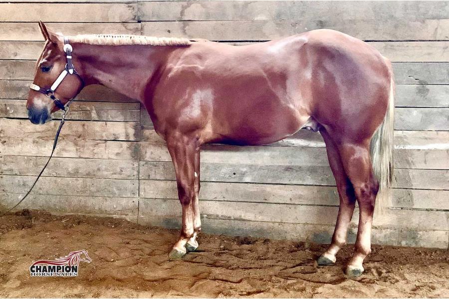 LOT  07 - Cowboy Built