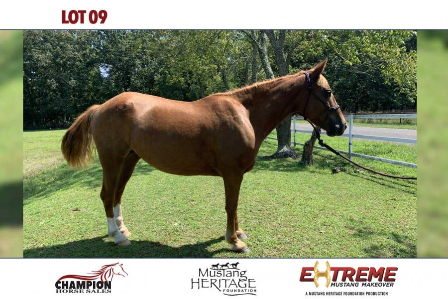 LOT  09 - JOLENE