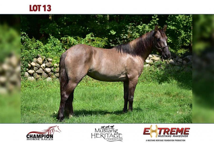 LOT  13 - GUNPOWDER AND LEAD
