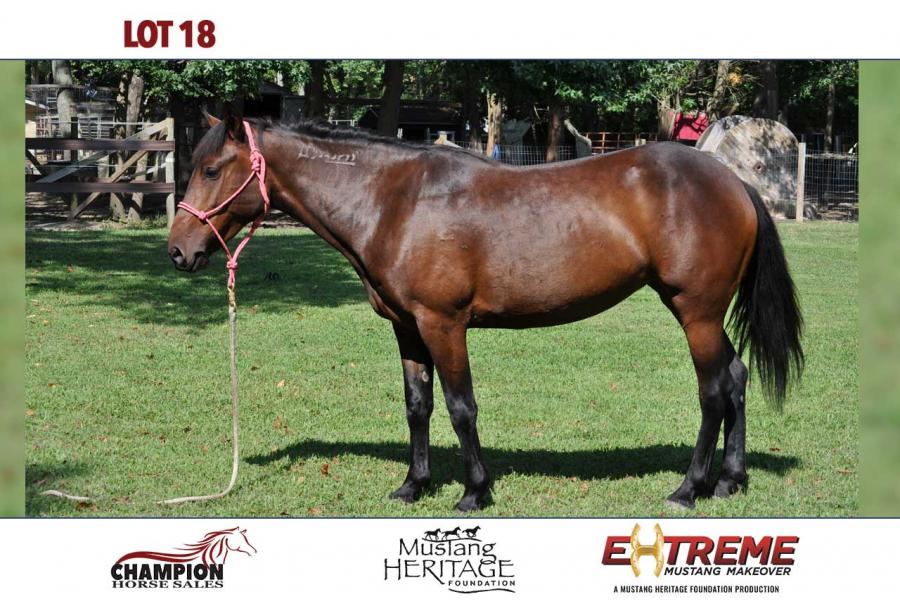 LOT  18 - MAZIKEEN