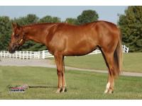 LOT 18 - Only Southern