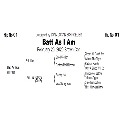 LOT  01 - BATT AS I AM