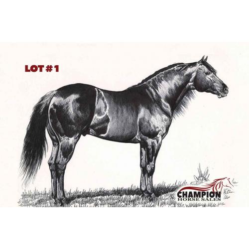 LOT 01 - I Am A LIVE Test Sale Horse