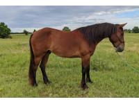 LOT  11 - MURDOCK