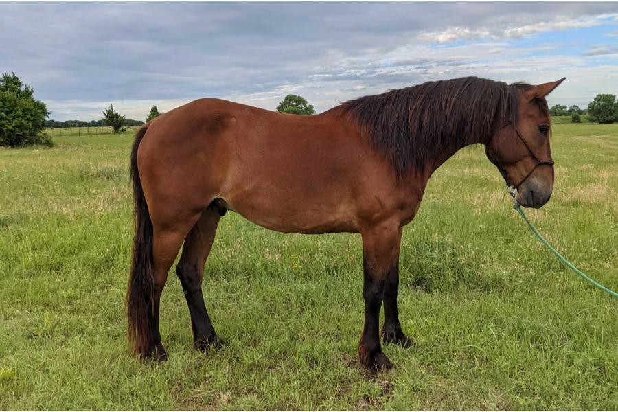 LOT  11 - MURDOCK