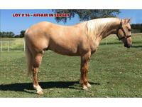 LOT 16 - AFFAIR IN JERSEY