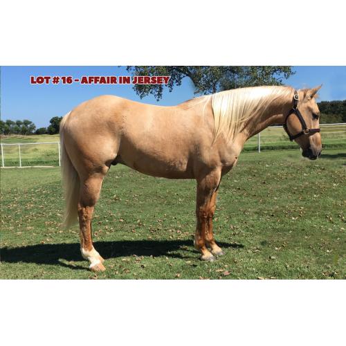 LOT 16 - AFFAIR IN JERSEY