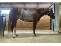 LOT  203 - MADE BY CODE BLUE