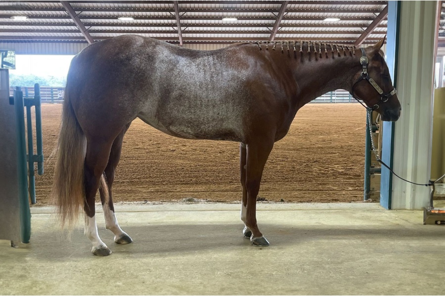 LOT  203 - MADE BY CODE BLUE