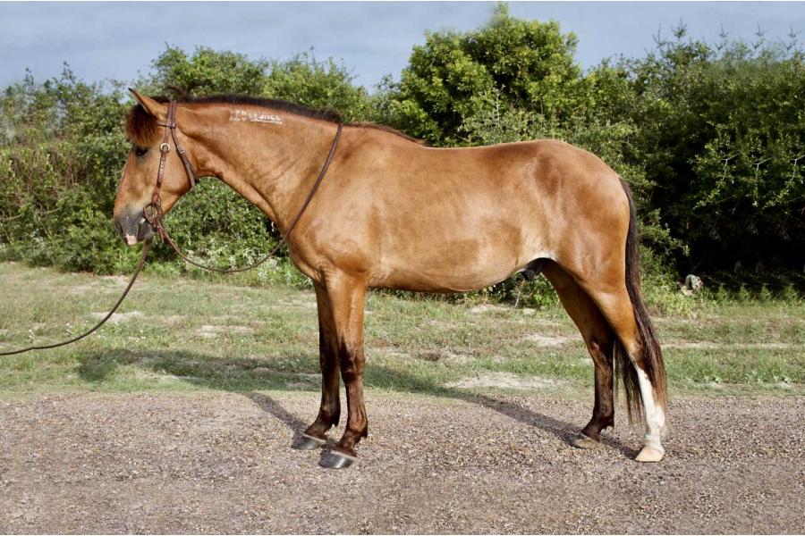 LOT  30 - FIN