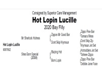 LOT 304  - HOT LOPIN LUCILLE