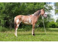 LOT  32 - SAVANNAH