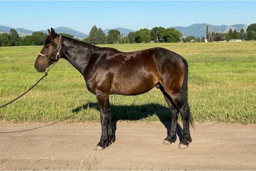 LOT  35 - KENO