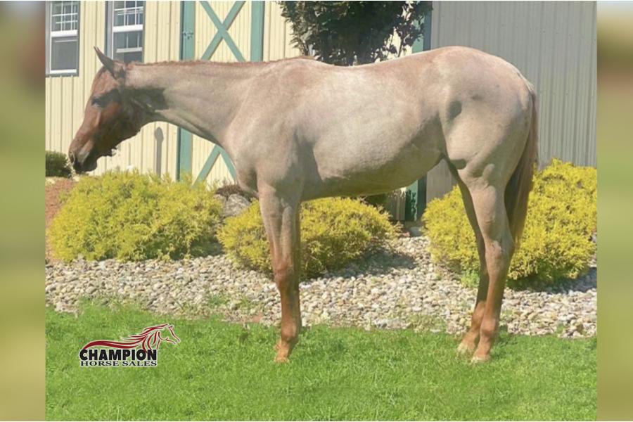 LOT  14 - FINDERZ KEEPERZ