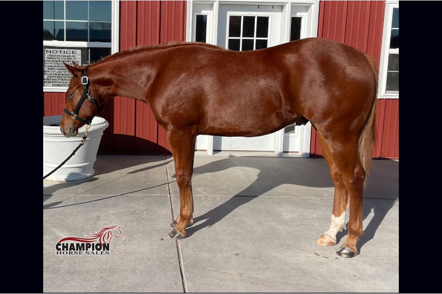 LOT  17 - Liquid Therapy