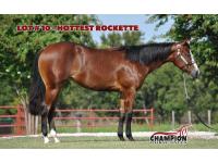 LOT 10 - HOTTEST ROCKETTE