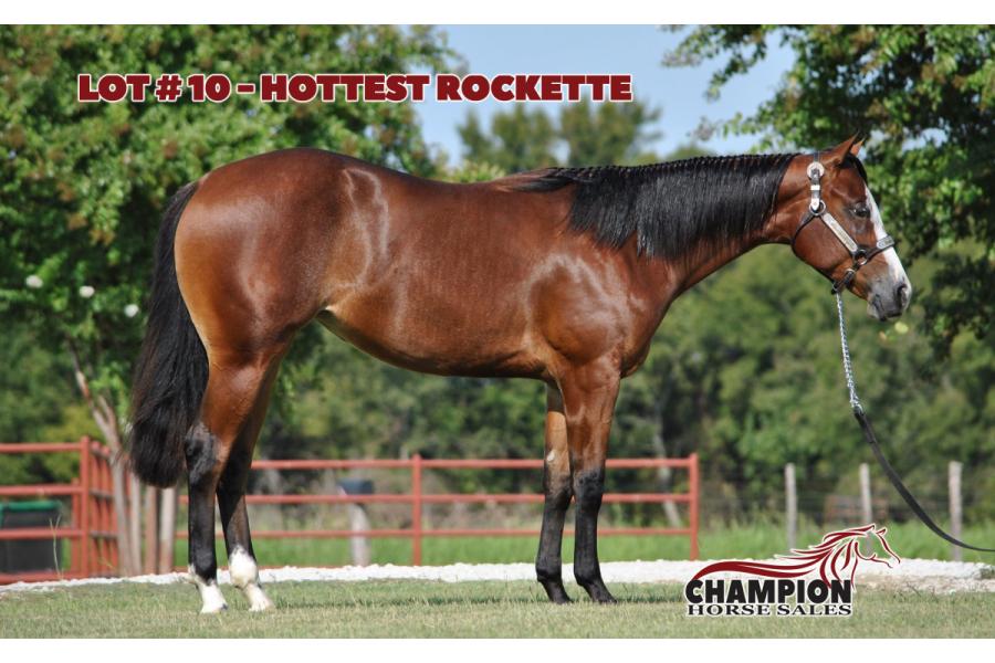 LOT 10 - HOTTEST ROCKETTE