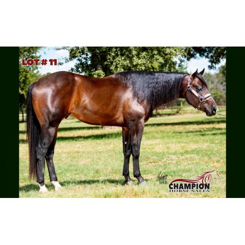 LOT 11 - THE GREATEST SHOWMAN