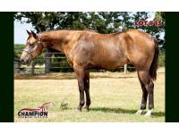 LOT 13 - ALL KINDS OF TROUBLE