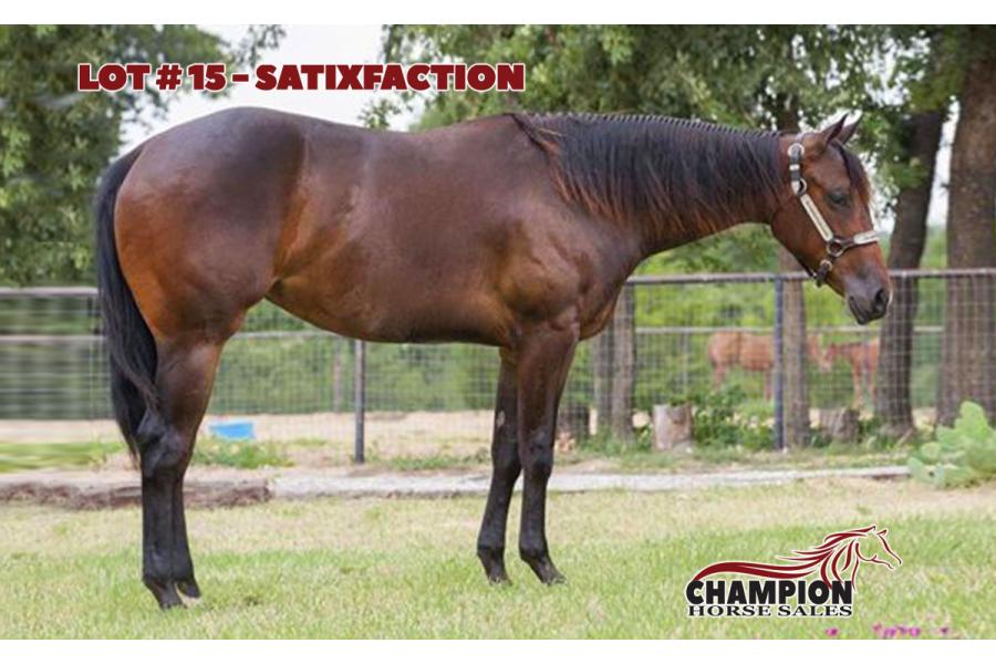 LOT 15 - SATIXFACTION