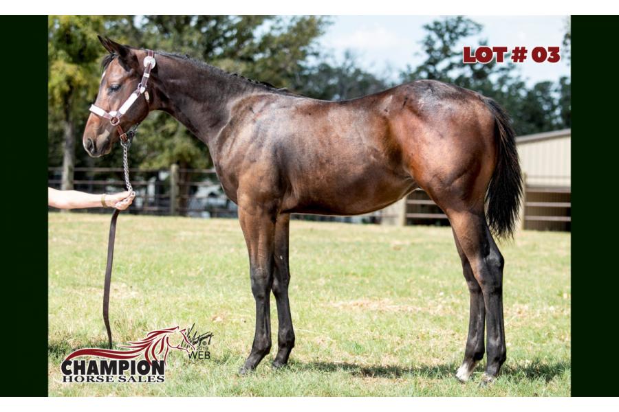 LOT 03 - BH SUPERMAN