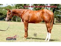 LOT 04 - BLAZE IN TROUBLE